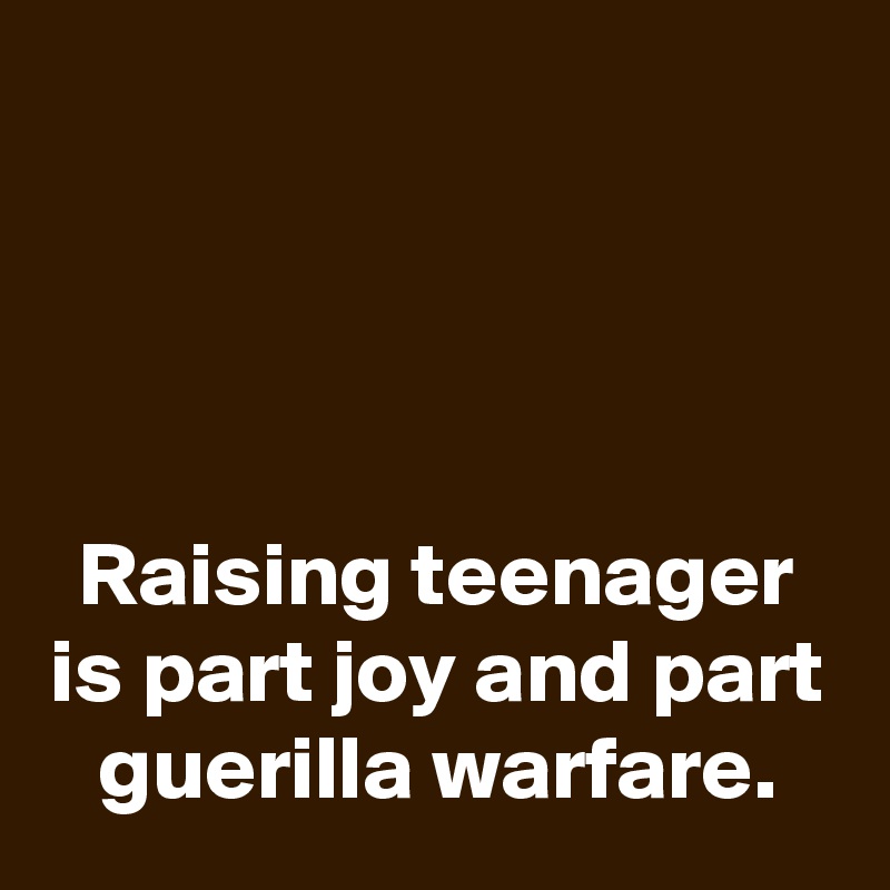 




Raising teenager is part joy and part guerilla warfare.