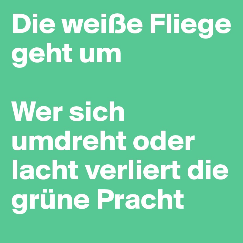 Die weiße Fliege
geht um

Wer sich umdreht oder lacht verliert die grüne Pracht