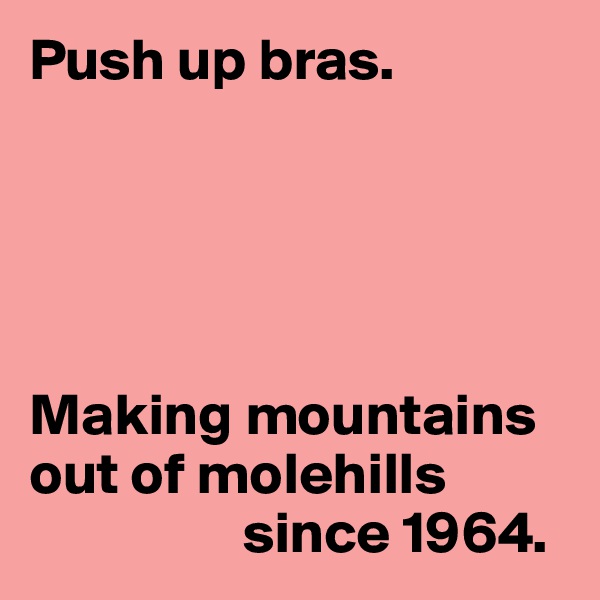 Push up bras.





Making mountains out of molehills 
                  since 1964.