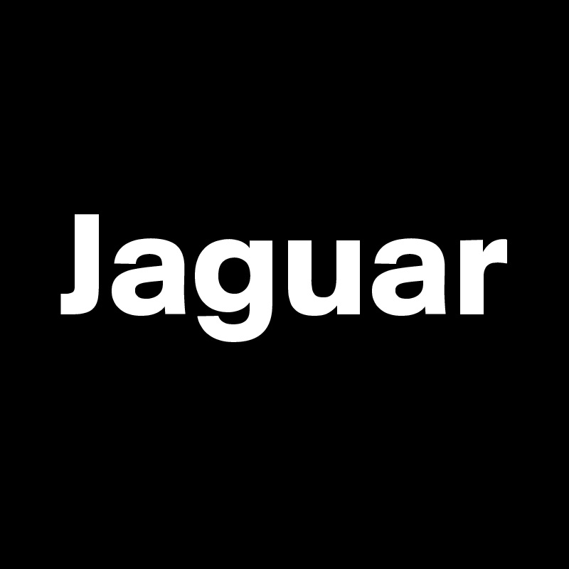 
 Jaguar
