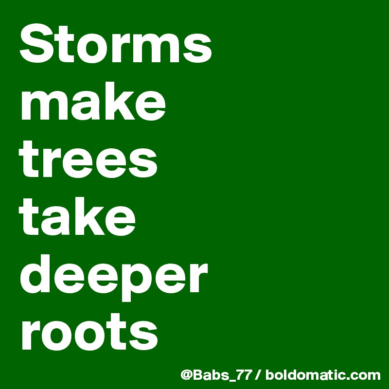 Storms make 
trees 
take 
deeper 
roots