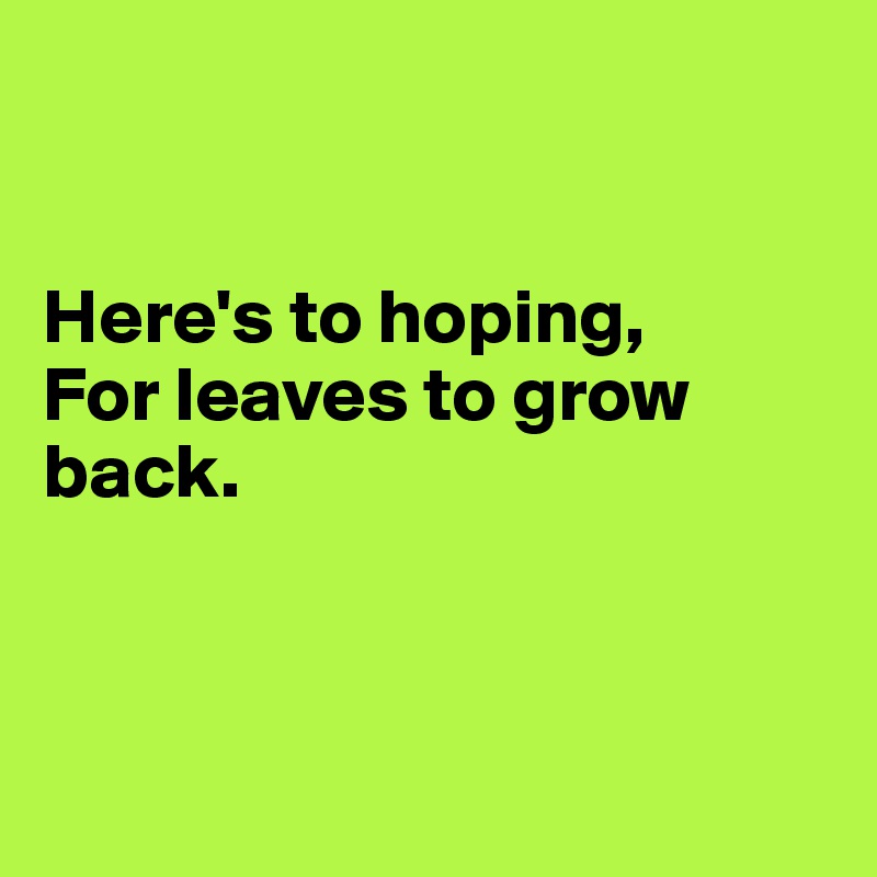 


Here's to hoping,
For leaves to grow back.



