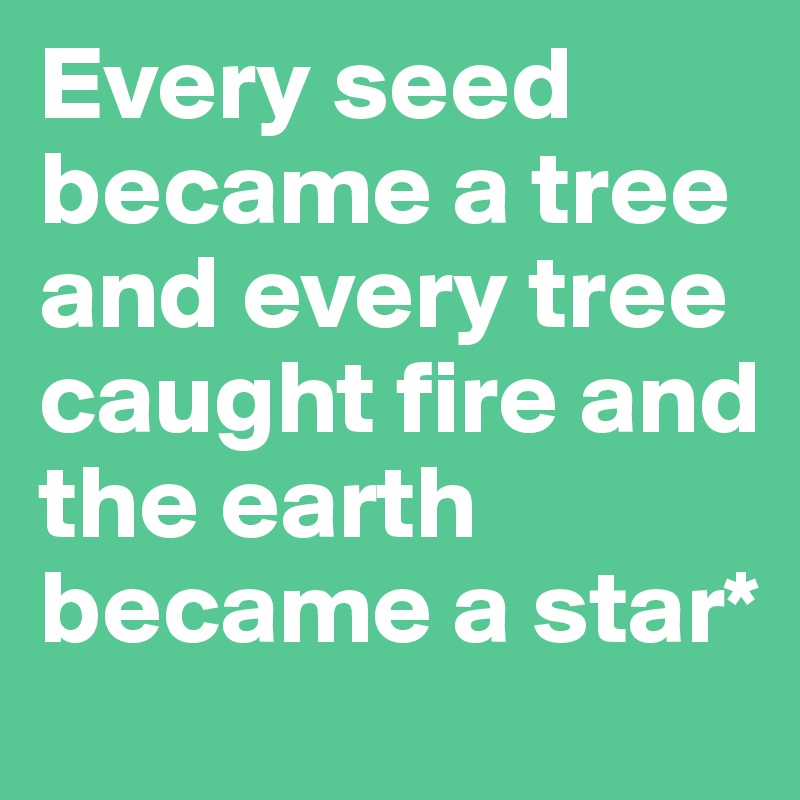 Every seed became a tree and every tree caught fire and the earth became a star*