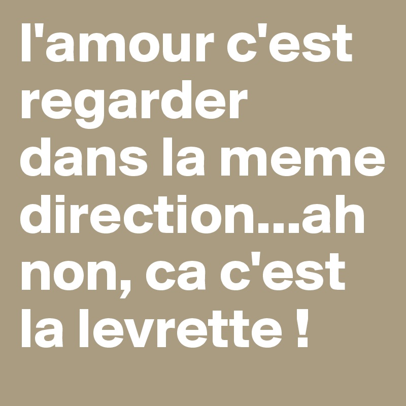 Lamour Cest Regarder Dans La Meme Directionah Non Ca Cest La Levrette Post By Yxylo 5131