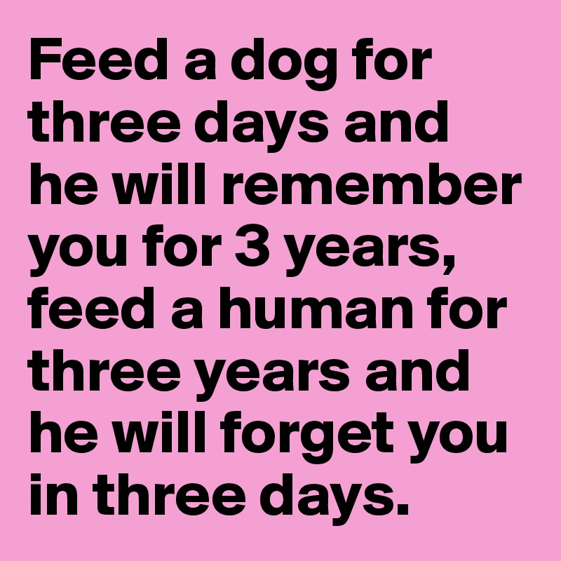 DEMIC - Feed a dog for three days they will remember you for three