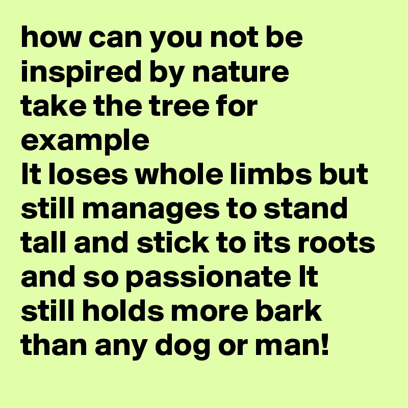 how can you not be inspired by nature
take the tree for example 
It loses whole limbs but still manages to stand tall and stick to its roots and so passionate It still holds more bark than any dog or man!