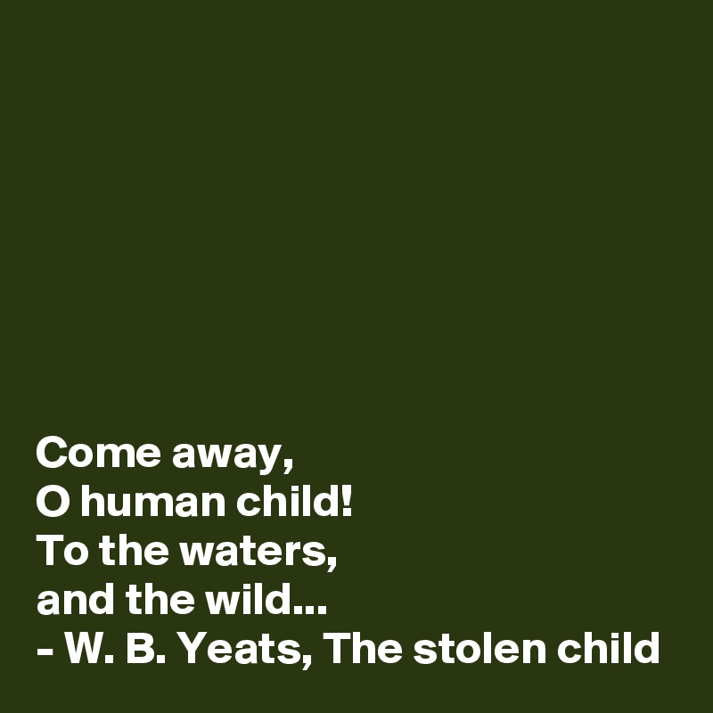 







Come away,
O human child!
To the waters,
and the wild...
- W. B. Yeats, The stolen child