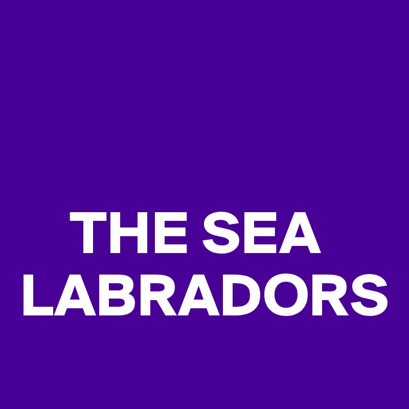 


    THE SEA LABRADORS