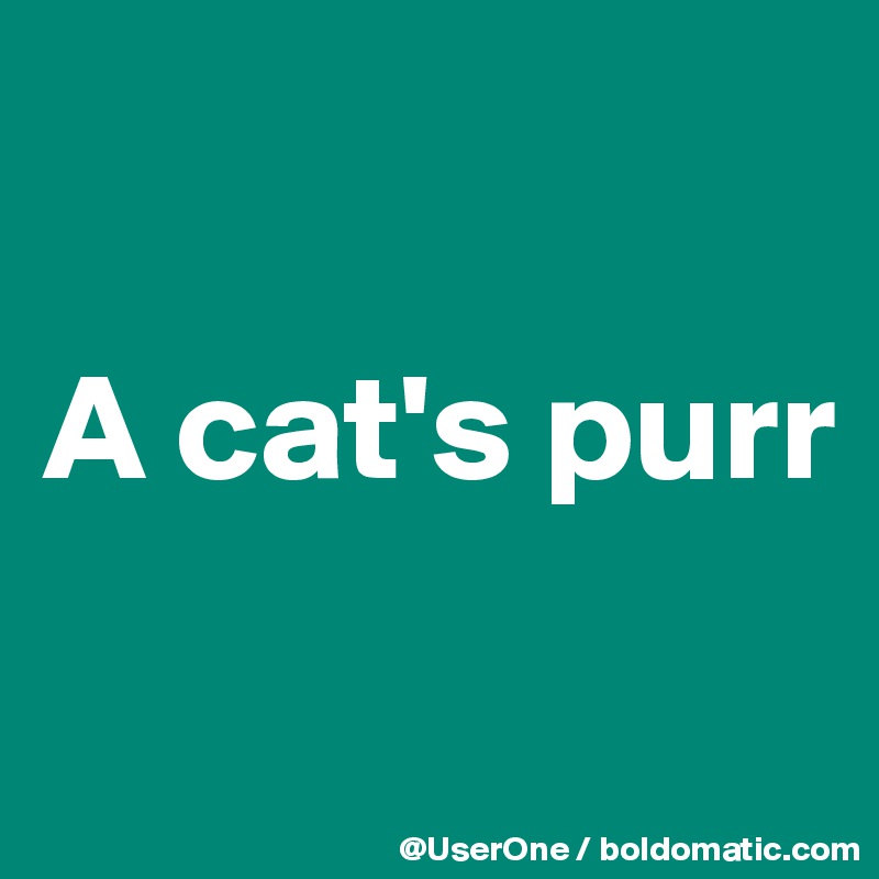 

A cat's purr

