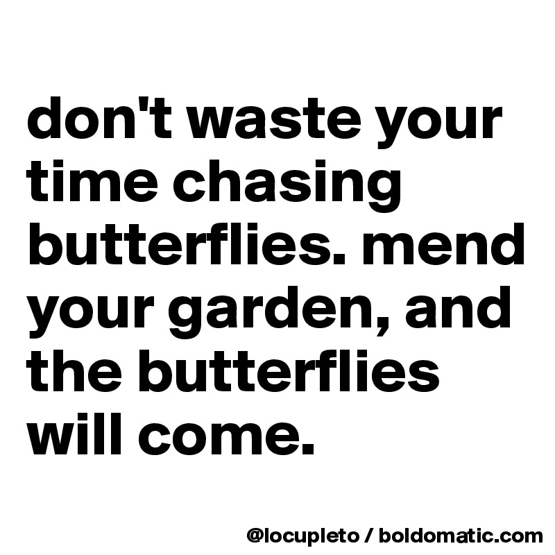 
don't waste your time chasing butterflies. mend your garden, and the butterflies will come.