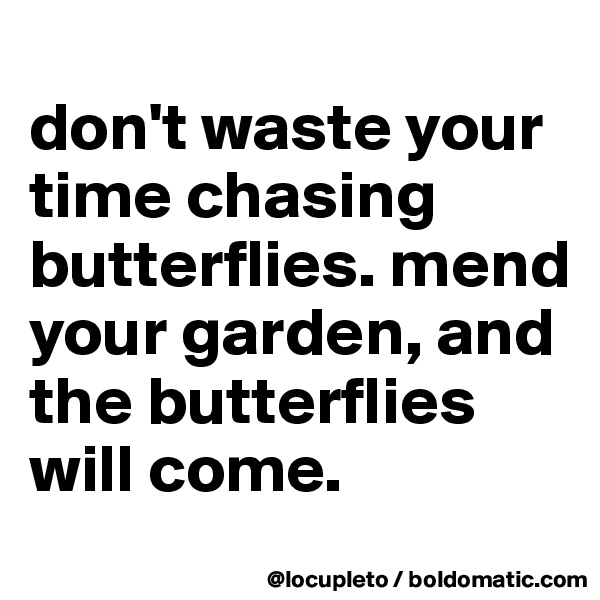 
don't waste your time chasing butterflies. mend your garden, and the butterflies will come.