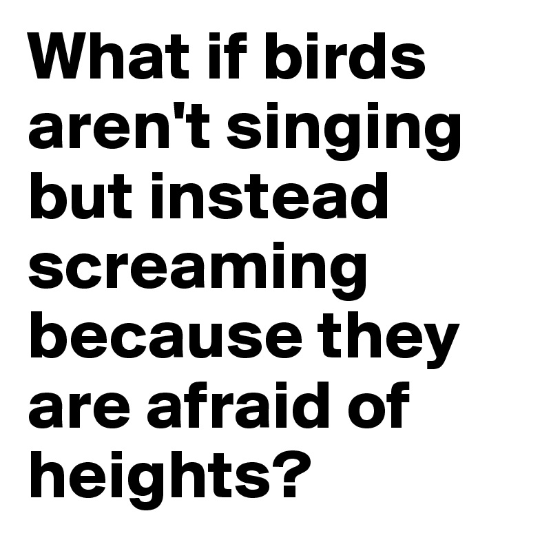 What if birds aren't singing but instead screaming because they are afraid of heights?