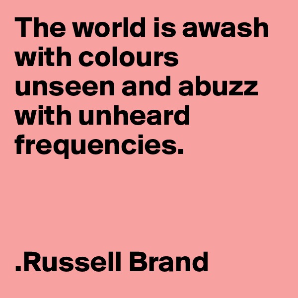 The world is awash with colours unseen and abuzz with unheard frequencies. 



.Russell Brand