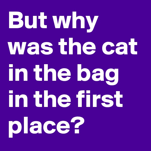 But why was the cat in the bag in the first place? 
