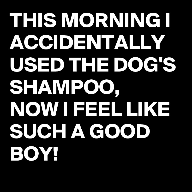 THIS MORNING I ACCIDENTALLY USED THE DOG'S SHAMPOO, 
NOW I FEEL LIKE SUCH A GOOD BOY!