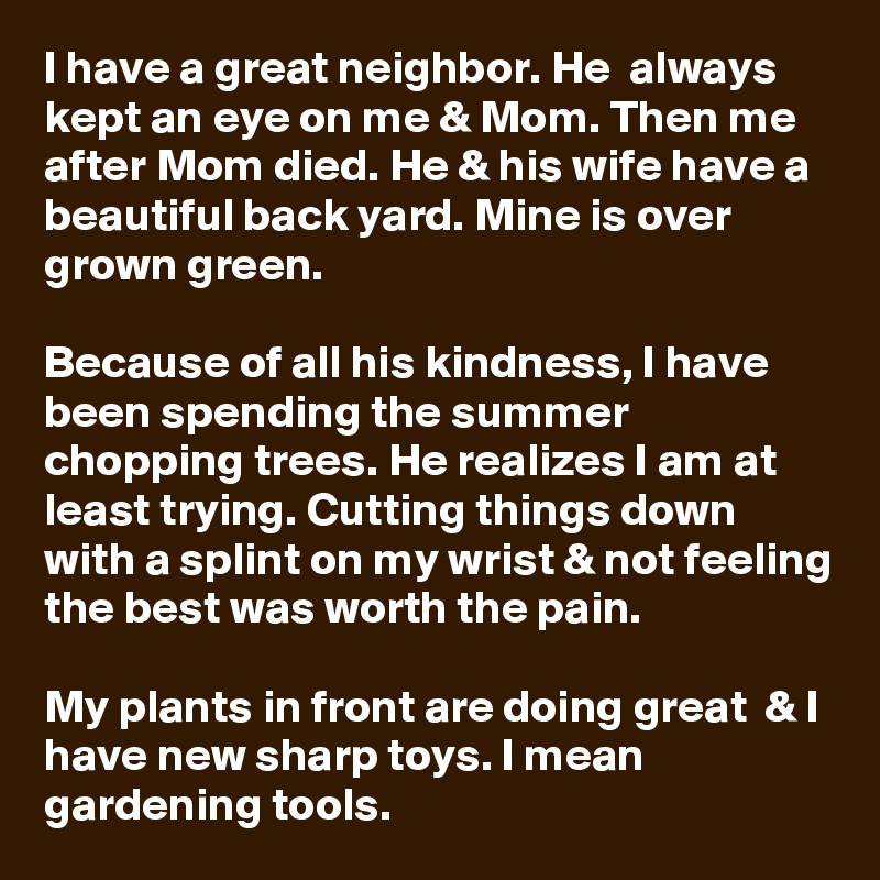 I have a great neighbor. He  always kept an eye on me & Mom. Then me after Mom died. He & his wife have a beautiful back yard. Mine is over grown green.

Because of all his kindness, I have been spending the summer chopping trees. He realizes I am at least trying. Cutting things down with a splint on my wrist & not feeling the best was worth the pain.

My plants in front are doing great  & I have new sharp toys. I mean gardening tools.