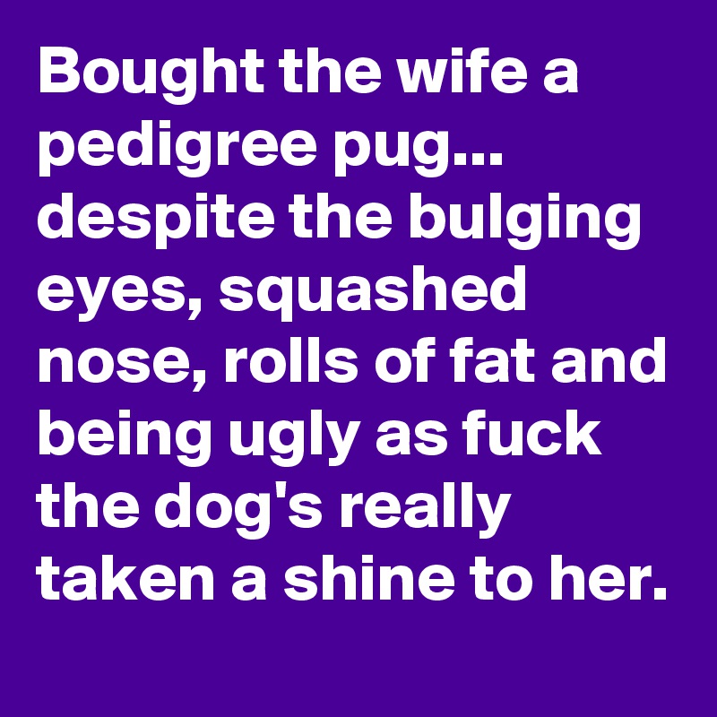 Bought the wife a pedigree pug... 
despite the bulging eyes, squashed nose, rolls of fat and being ugly as fuck the dog's really taken a shine to her.
