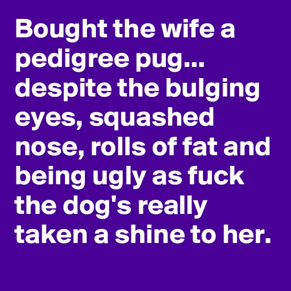 Bought the wife a pedigree pug... 
despite the bulging eyes, squashed nose, rolls of fat and being ugly as fuck the dog's really taken a shine to her.