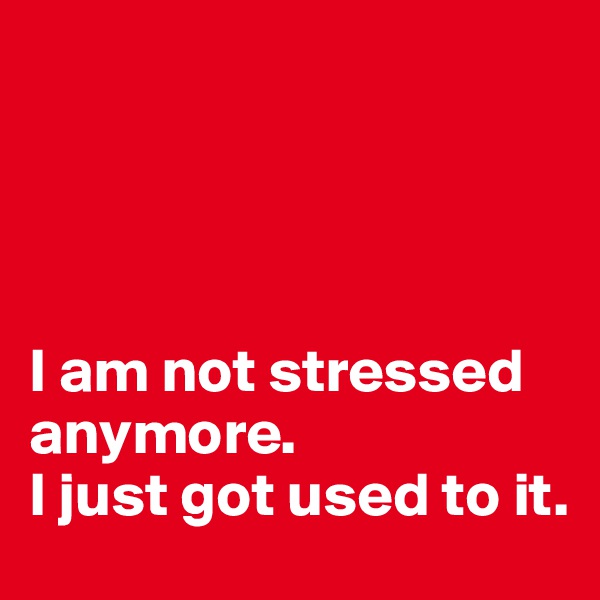 




I am not stressed anymore.
I just got used to it.