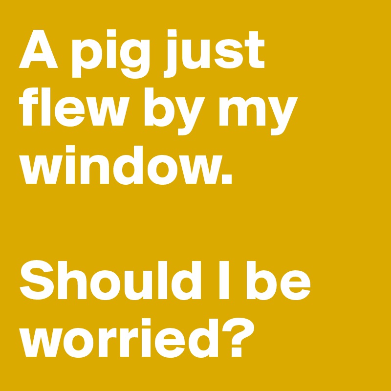 A pig just flew by my window.

Should I be worried?