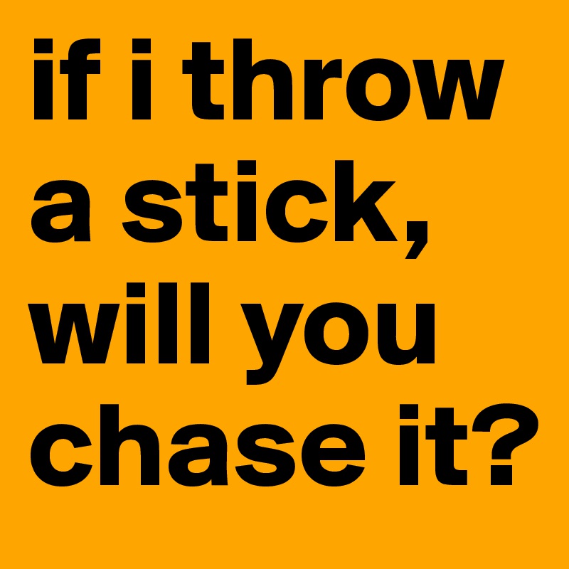 if i throw a stick, will you chase it?