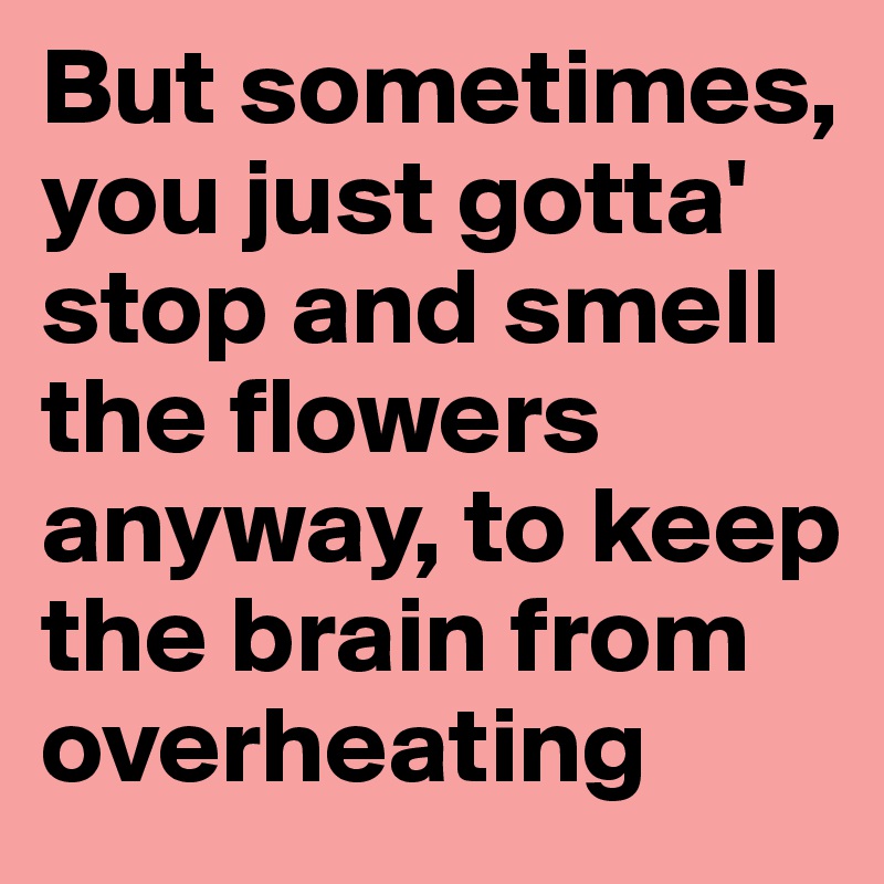 But sometimes, you just gotta' stop and smell the flowers anyway, to keep the brain from overheating