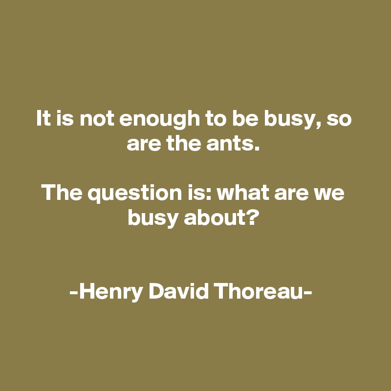 


It is not enough to be busy, so are the ants.
 
The question is: what are we busy about?


-Henry David Thoreau- 


