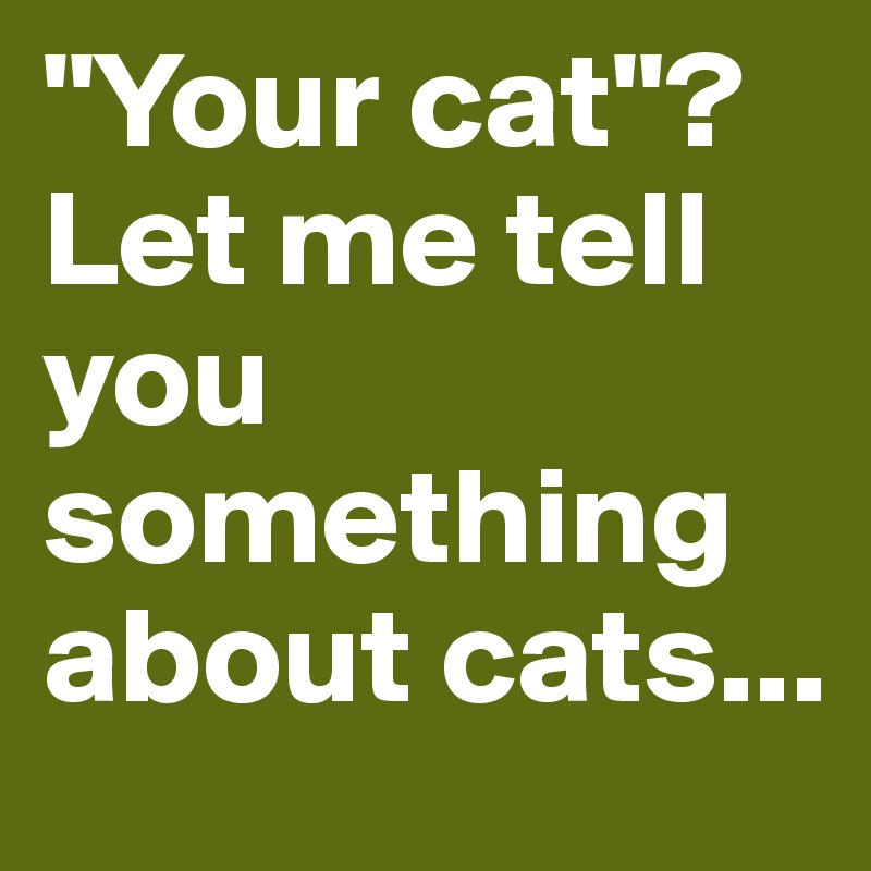 "Your cat"? Let me tell you something about cats...