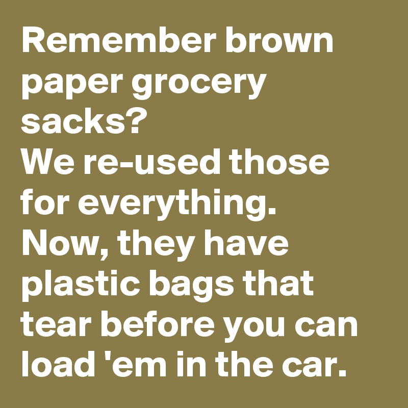 Remember brown paper grocery sacks?
We re-used those for everything.
Now, they have plastic bags that tear before you can load 'em in the car.