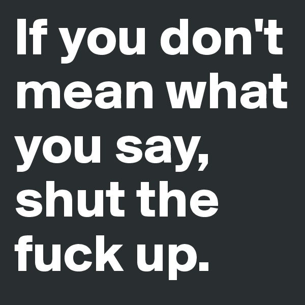 If you don't mean what you say, shut the fuck up.