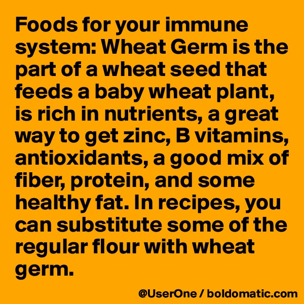Foods for your immune system: Wheat Germ is the part of a wheat seed that feeds a baby wheat plant, is rich in nutrients, a great way to get zinc, B vitamins, antioxidants, a good mix of fiber, protein, and some healthy fat. In recipes, you can substitute some of the regular flour with wheat germ.