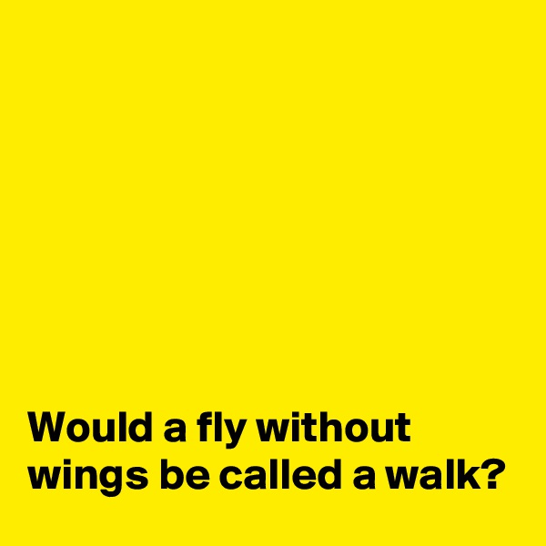 







Would a fly without wings be called a walk?