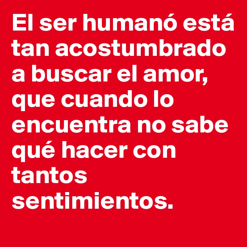 El ser humanó está tan acostumbrado a buscar el amor, que cuando lo encuentra no sabe qué hacer con tantos sentimientos.