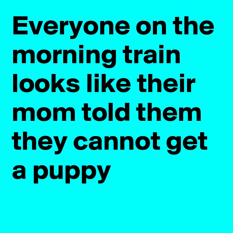 Everyone on the morning train looks like their mom told them they cannot get a puppy