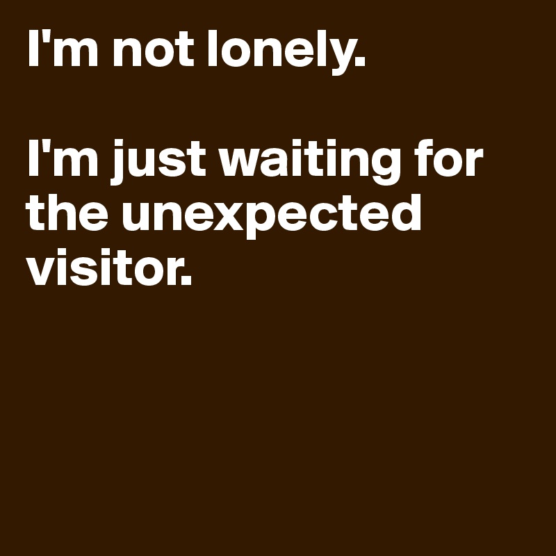 I'm not lonely. 

I'm just waiting for the unexpected visitor. 



