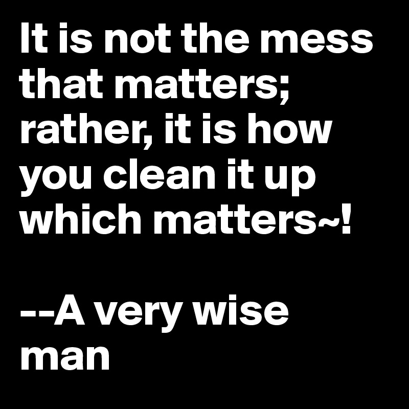 It is not the mess that matters; rather, it is how you clean it up which matters~!

--A very wise man