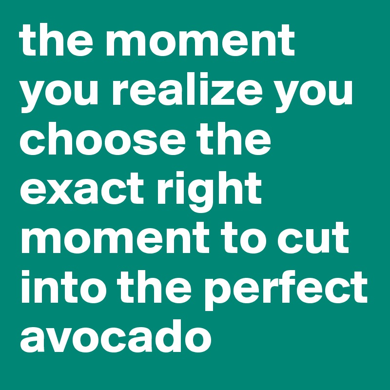the moment you realize you choose the exact right moment to cut into the perfect avocado