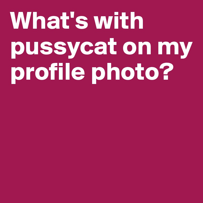 What's with pussycat on my profile photo?



