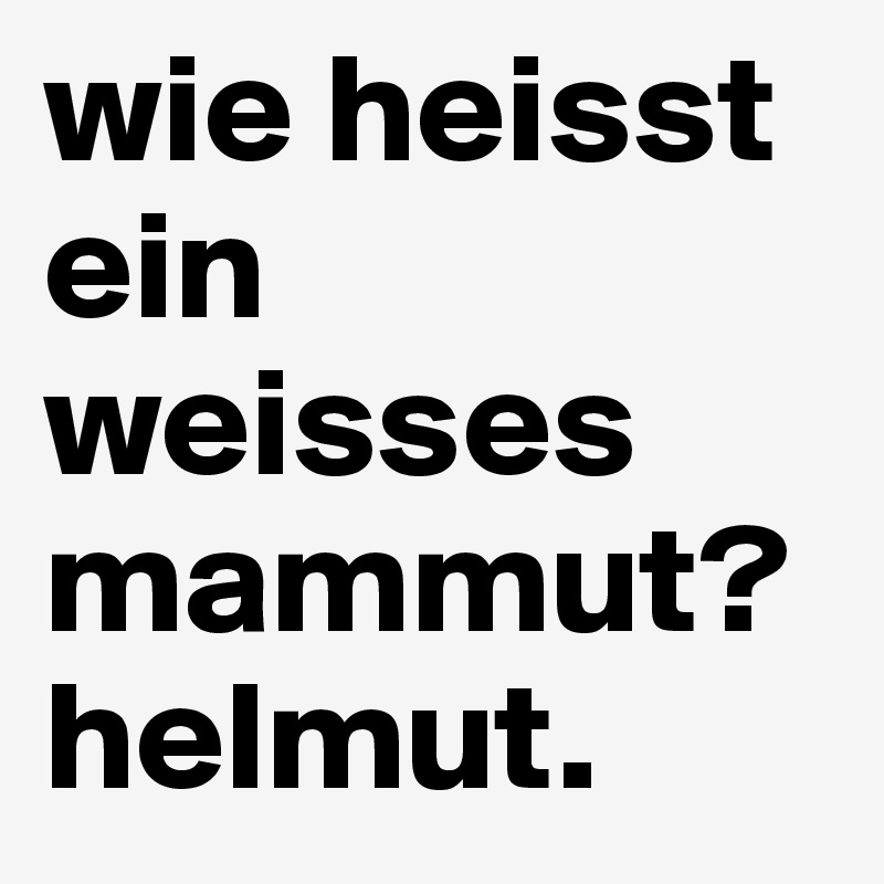 wie heisst ein weisses mammut? helmut. 