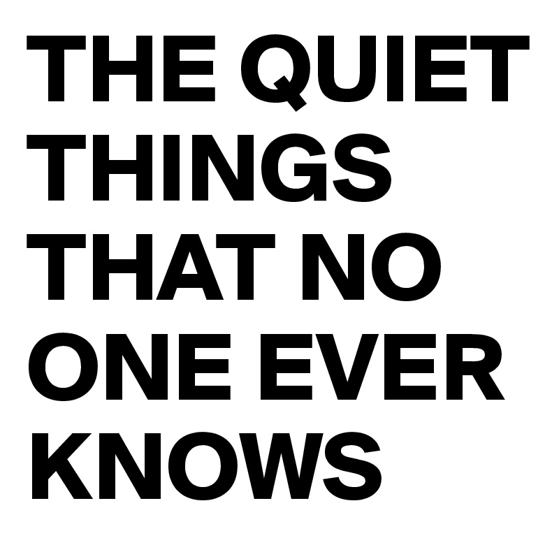 THE QUIET THINGS THAT NO ONE EVER KNOWS