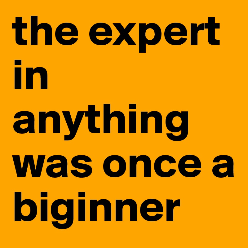 the expert in anything was once a biginner