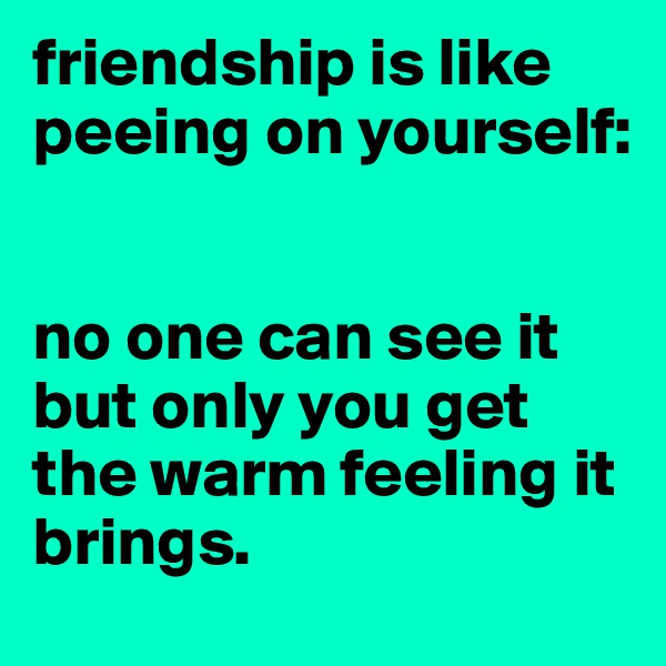 friendship is like peeing on yourself: 


no one can see it but only you get the warm feeling it brings.