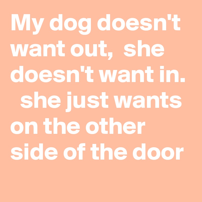 My dog doesn't want out,  she doesn't want in.   she just wants on the other side of the door