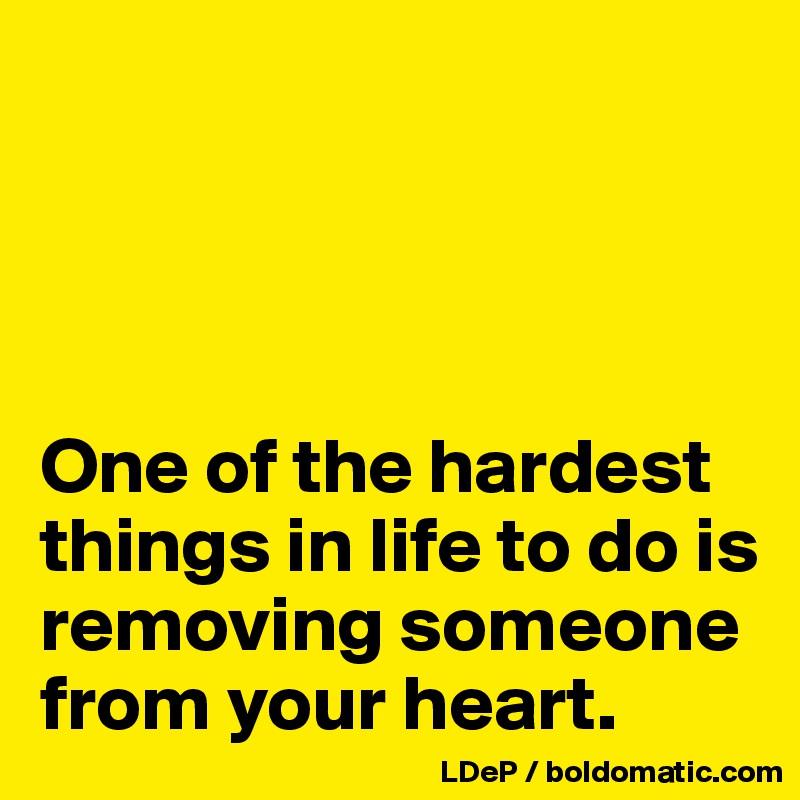 




One of the hardest things in life to do is removing someone from your heart. 