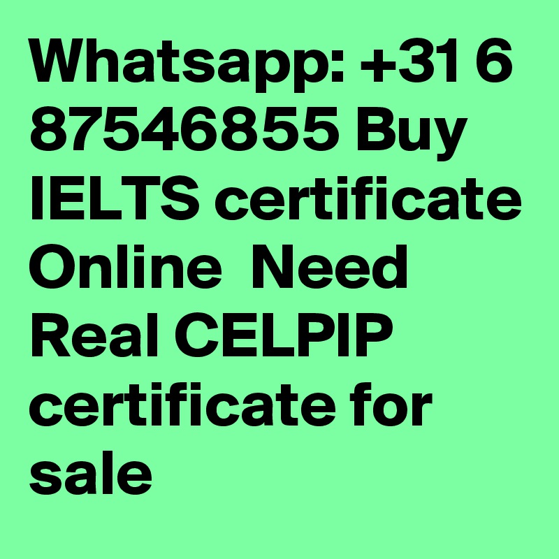 Whatsapp: +31 6 87546855 Buy IELTS certificate Online  Need Real CELPIP certificate for sale 