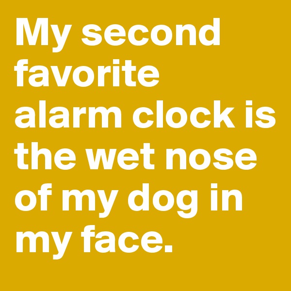 My second favorite alarm clock is the wet nose of my dog in my face.