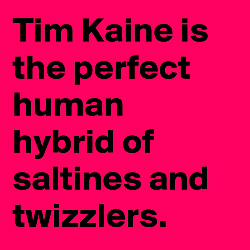 Tim Kaine is the perfect human hybrid of saltines and twizzlers.