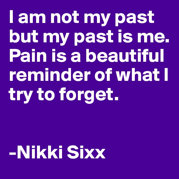 I am not my past but my past is me. 
Pain is a beautiful reminder of what I try to forget. 


-Nikki Sixx