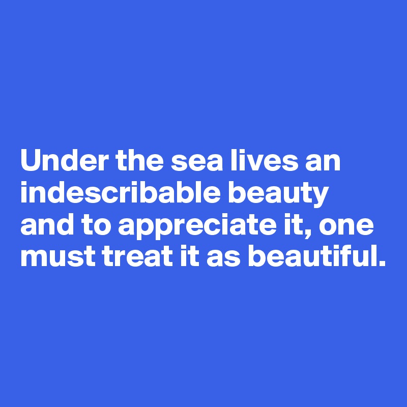 



Under the sea lives an indescribable beauty and to appreciate it, one must treat it as beautiful.


