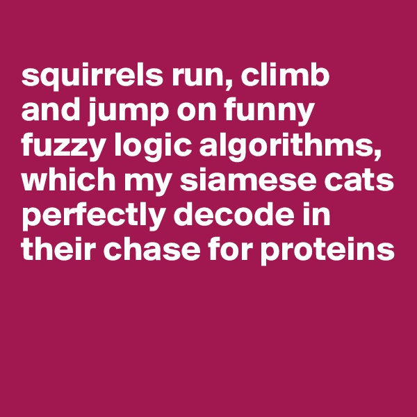 
squirrels run, climb and jump on funny fuzzy logic algorithms, which my siamese cats perfectly decode in their chase for proteins


